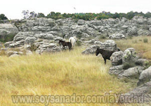 Stone Circles, Tellinger, Oro Monoatómico, ormes, mpumalanga, adam´s calendar, anunnakis